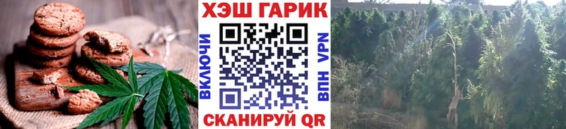 Canna-Cookies марихуана  Нововоронеж 