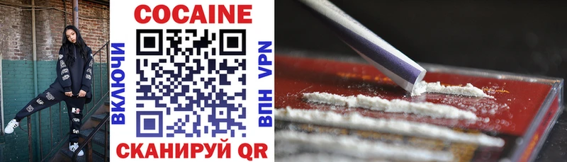Cocaine FishScale  кракен маркетплейс  Нововоронеж  купить наркоту 