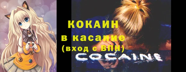 стаф Арсеньев