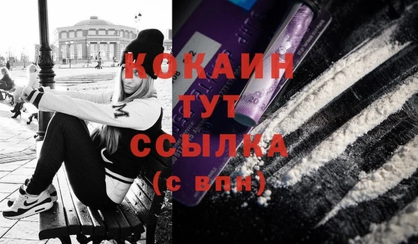 индика Армянск