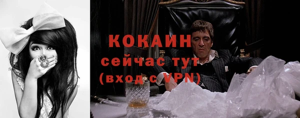 стаф Арсеньев