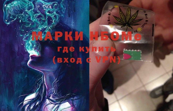 индика Армянск