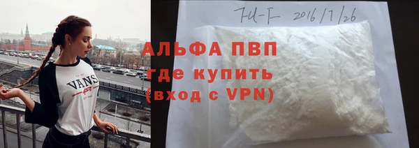 стаф Арсеньев