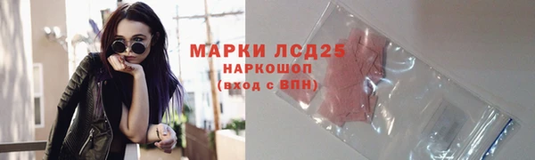 стаф Арсеньев