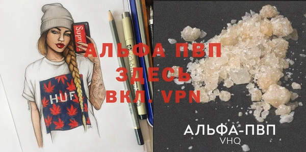 стаф Арсеньев