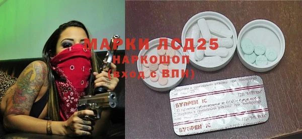 индика Армянск