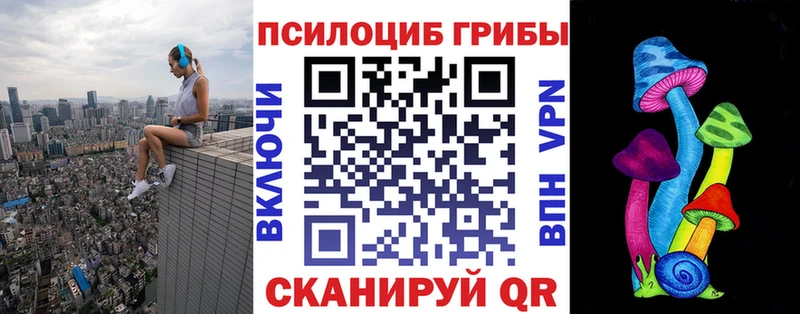 кракен маркетплейс Нововоронеж Псилоцибиновые грибы GOLDEN TEACHER